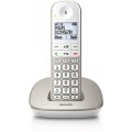 Ασύρματο Τηλέφωνο Philips XL4901S/GRS